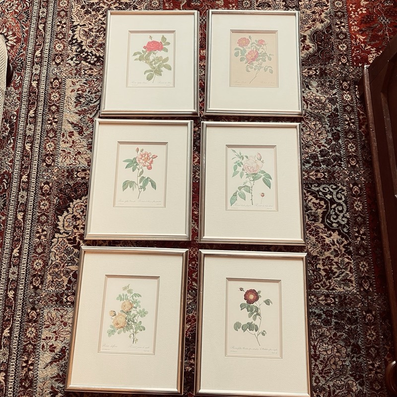 6 P. J. Redoute Botanical Still Life Framed Prints Ethan Allen Lithograph