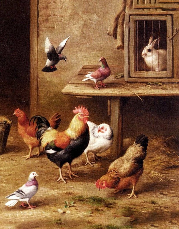 Chickens, Pigeons and Rabbit by Edgar Hunt