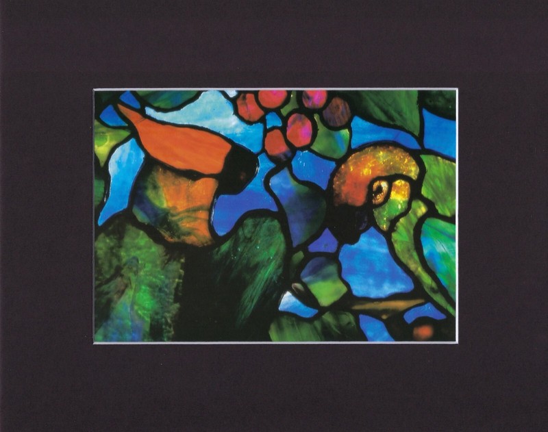 8X10 Matted Print Art Picture Louis Comfort Tiffany Stained Glass: Birds Tree