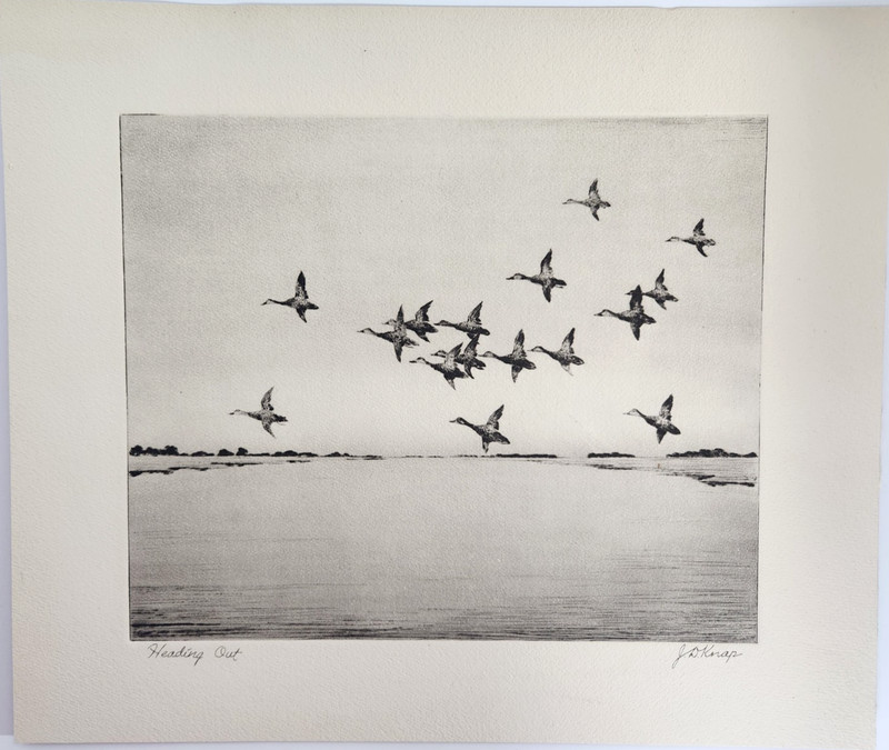 Heading Out Ducks In Flight Birds Wildlife J D Knap Vintage Art Print gallery