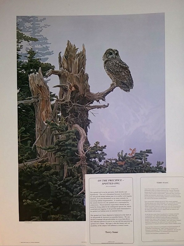 ISAAC "ON THE PRECIPICE" SPOTTED OWL, S/N LTD. ED. #372 19x24" 1988, MINT w/COA gallery