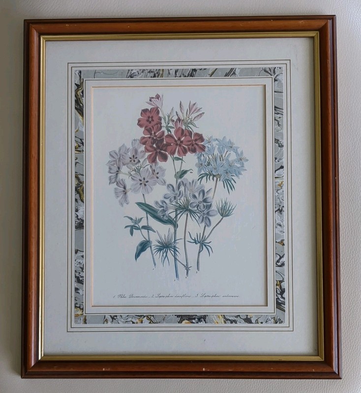Framed Botanical Print Fleurs De Jardin Frame Dark Wood Gilt Edged H40 cm W35 cm