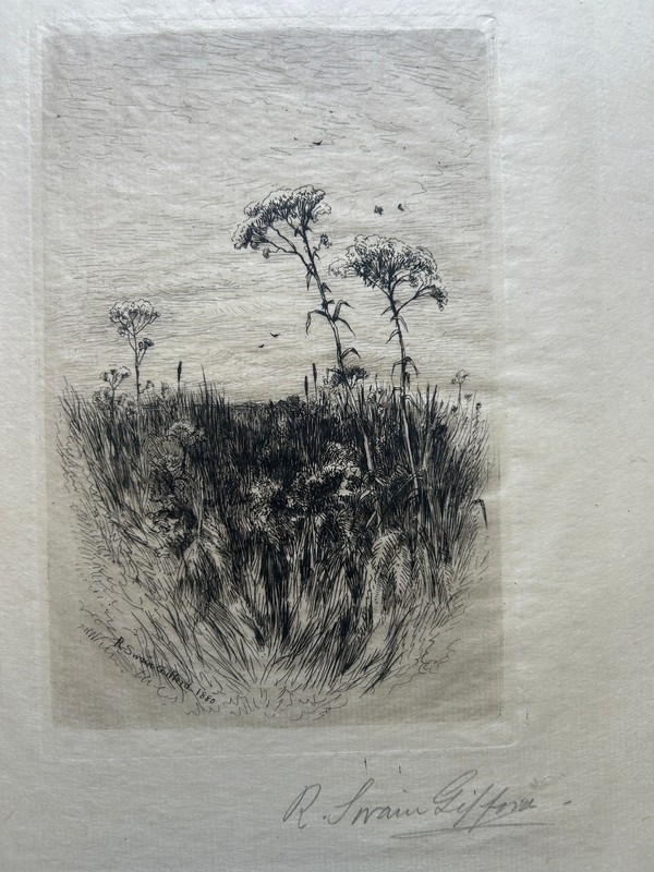 R. Swain Gifford Signed Etching Intaglio Wildflowers Marsh Landscape 1880
