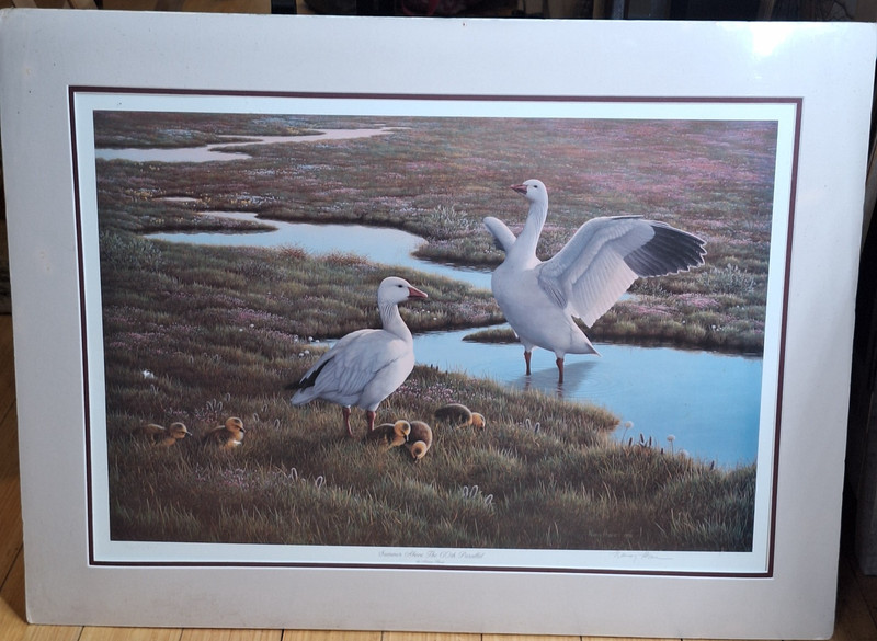 Ducks Unlimited Print Summer Above the 60th Parallel Signed Nancy Howe No Frame