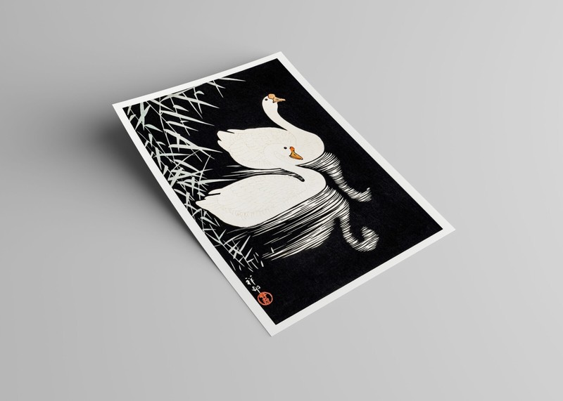 OHARA KOSON White Chinese Geese Swimming By Reeds ART (1928) Print/ Poster gallery