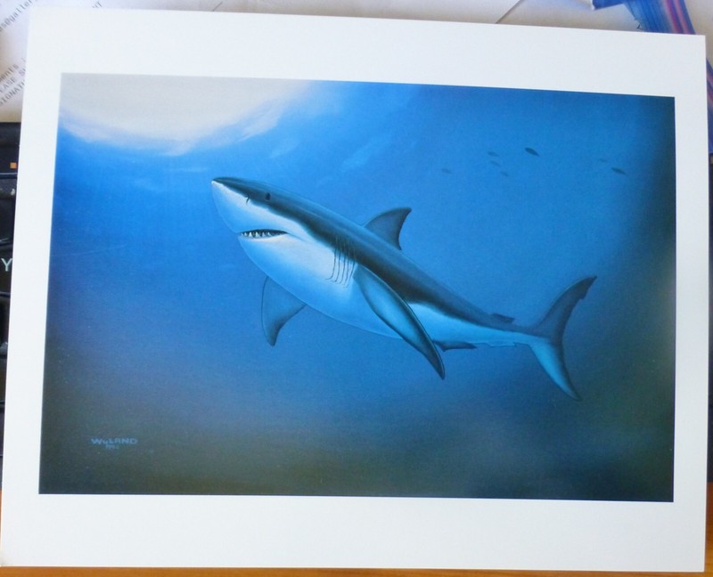 Wyland Studios GREAT WHITE shark 1992 vintage art print Nature Ocean sharks art gallery