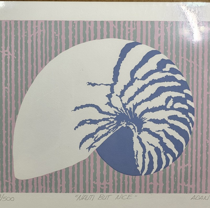 Sea Shell Print Adan Signed Numbered Pastel Beach House Gallery Wall Nautilus
