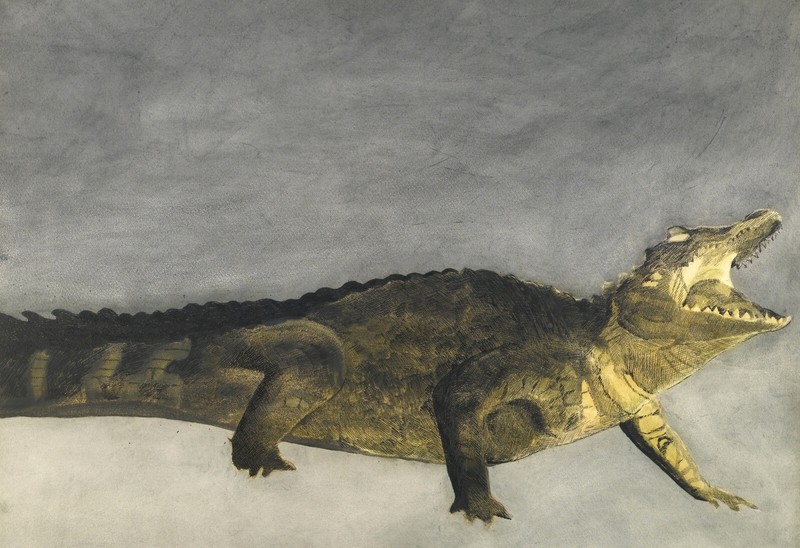 Léon Spilliaert – Crocodile on Gray Background (1933) – 17″ x 22″ Fine Art Print