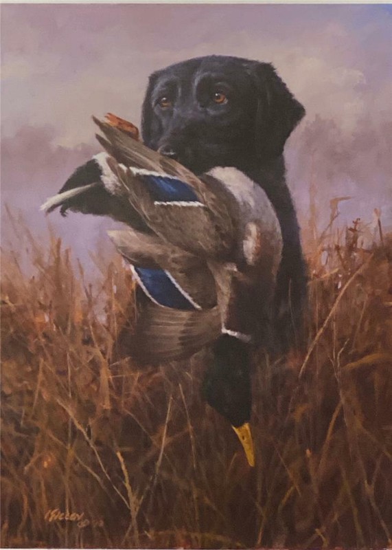 James Killen Proud Retrieve Black Lab Duck Hunting Art Print 13 x 17.5