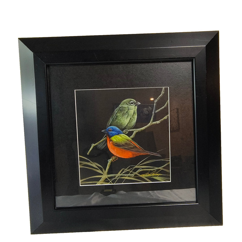 Photorealism Art Print Birds Painted Buntings Art LaMay Signed Framed 16″ x 16″