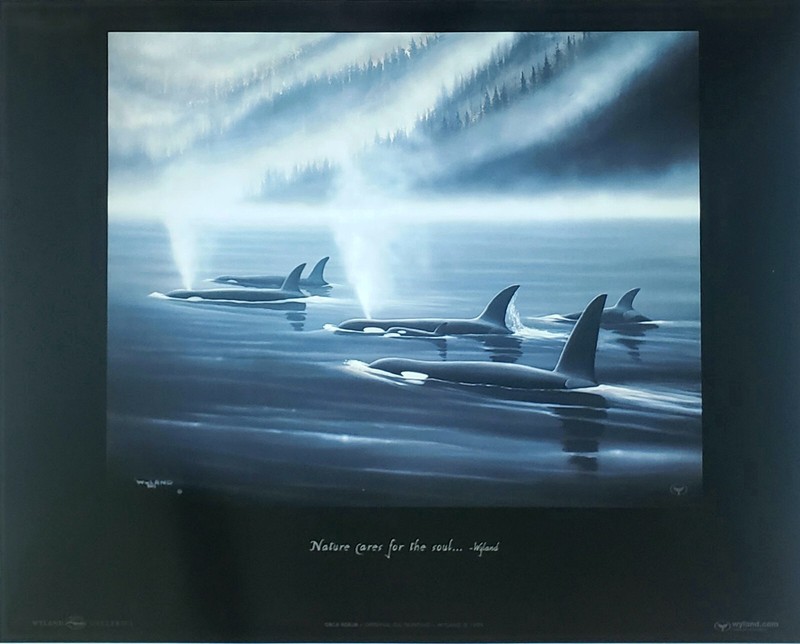 Wyland Orca Realm 1995 Nature cares for the soul Killer Whale Pod Art Poster New gallery