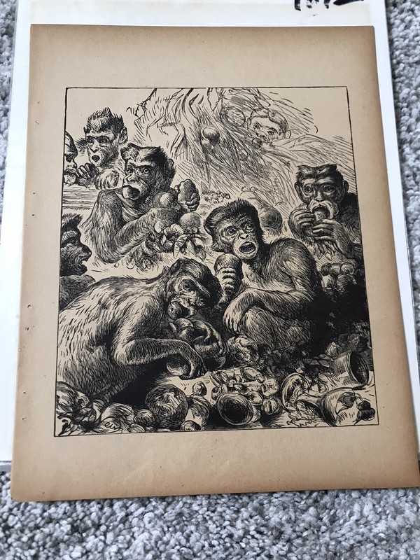 Vtg 1892 Art Print From Story Book Monkeys Chimpanzees Apes Enjoying Food