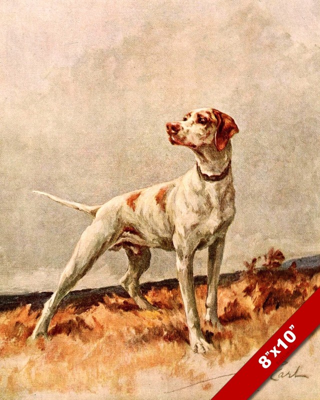PORTRAIT OF A POINTER PET PUPPY HUNTING DOG ART PAINTING PRINT ON REAL CANVAS