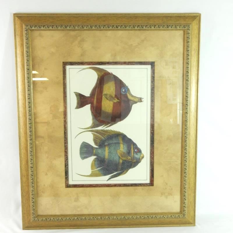 Paragon Picture Gallery Angel Fish Framed Art Print 18×12 Award Winner