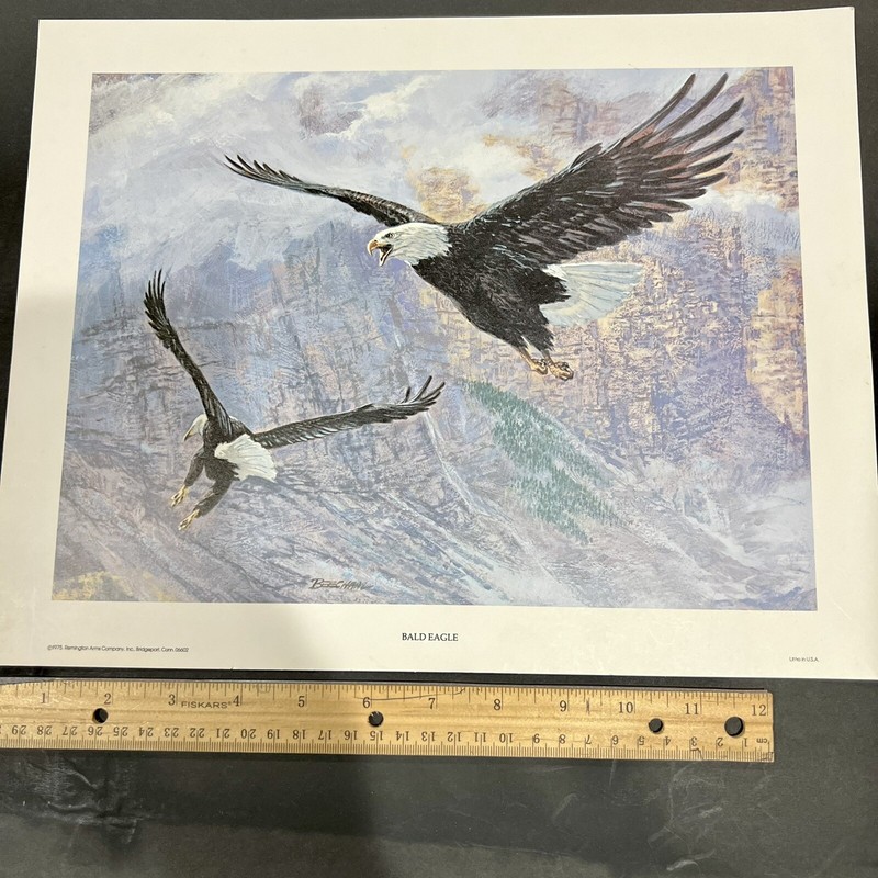 1975 Remington Arms Co. Lithograph Bald Eagle Tom Beecham Art Print 11″ x 14″