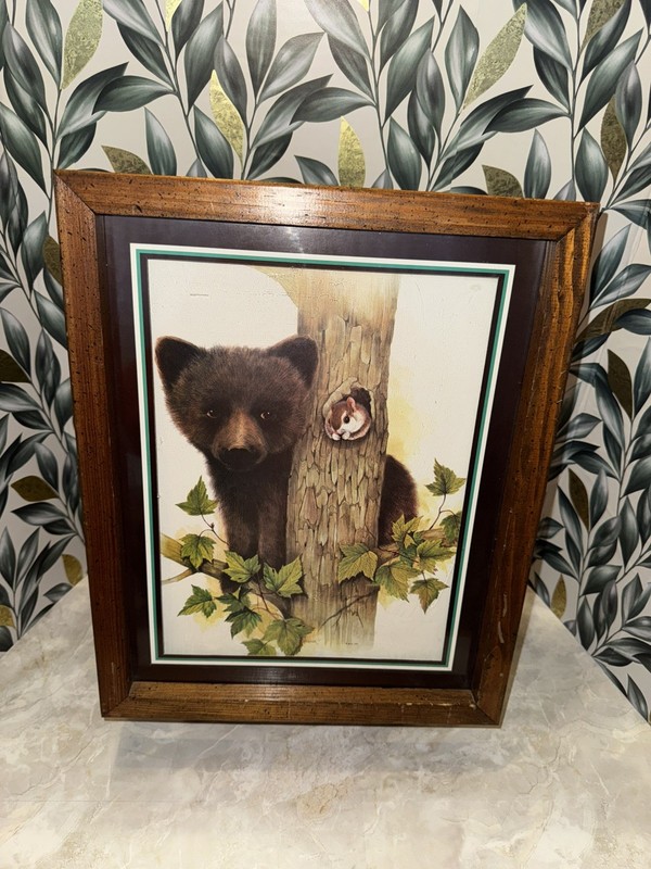 Vintage Shadow Box Framed Bear with squirrel Woodland Animal Art 12” x 15 1/4”