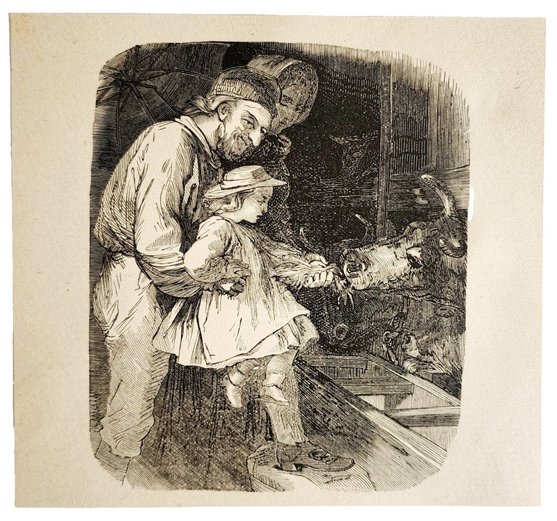 1880s Girl Feeding Cows In The Barn Wood Engraving Victorian Farm Life A5D