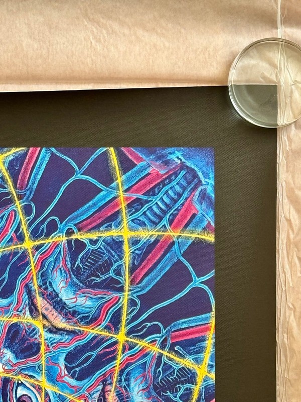 Alex Grey "Collective Vision" Canvas Art print-2019 Signed 30" X 30" C.O.A. Tool gallery