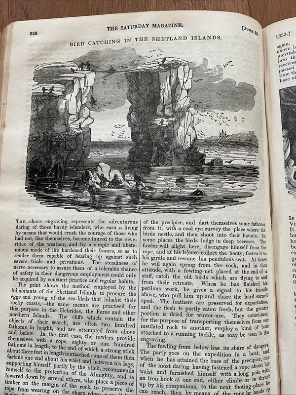 Antique Print 1833 – SHETLAND ISLANDS – Bird Catching + Article
