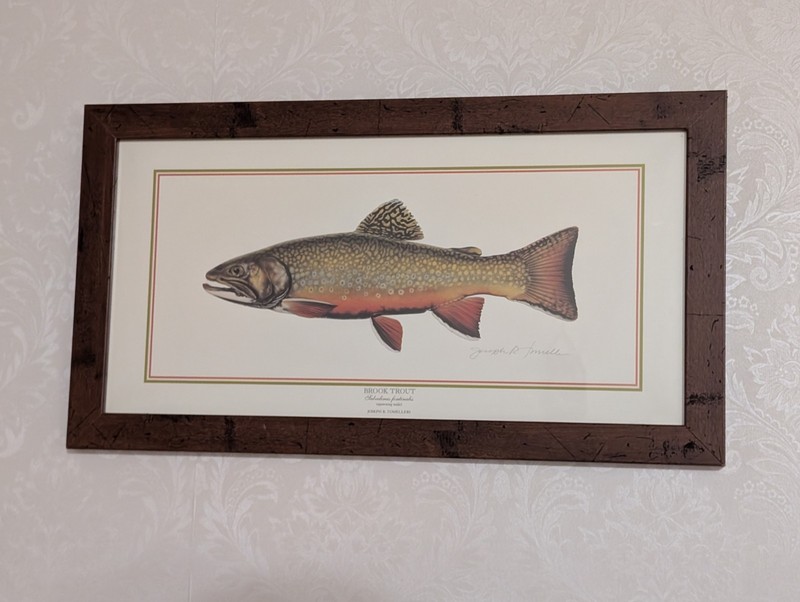 Framed Brook Trout Fish Artwork Signed Joseph Tomelleri Lake House Cabin Art