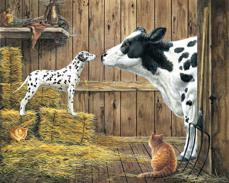framed canvas art print giclée or poster Funny farm animals cow Dalmatian dog