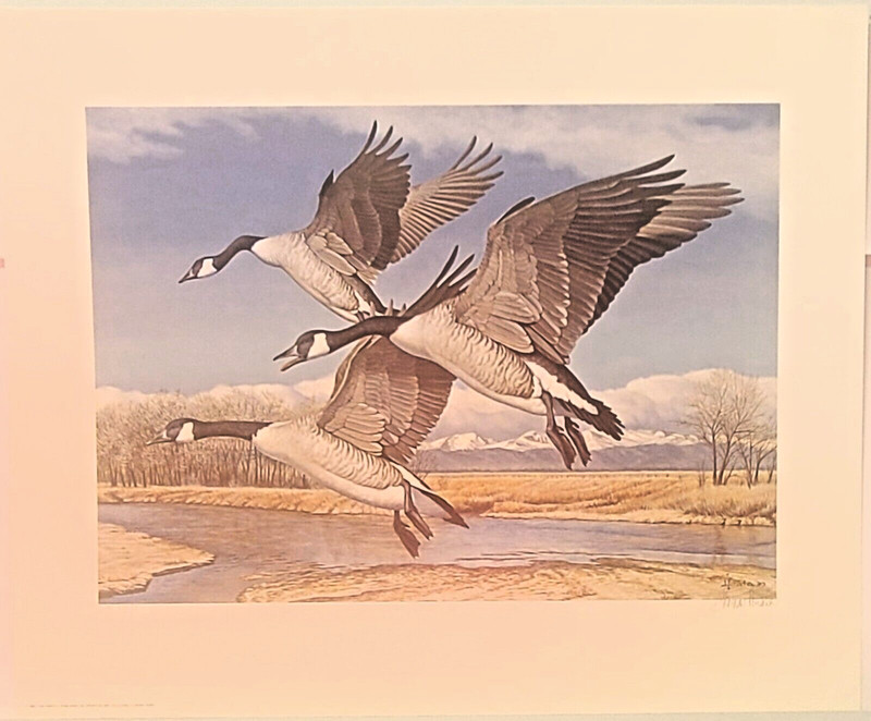 Tom Hirata Colorado Canada’s S/N Goose 1990 Art Print 22×18