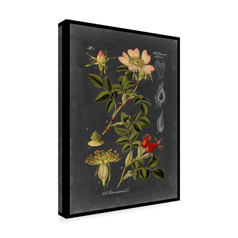 Midnight Botanical I by Vision Studio Floater Frame Nature Wall Art 19 In. X 14 gallery