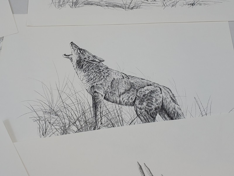 Western Wildlife Portfolio 12 Wildlife Prints By B. JAMES JOKERST 1983 Vintage gallery