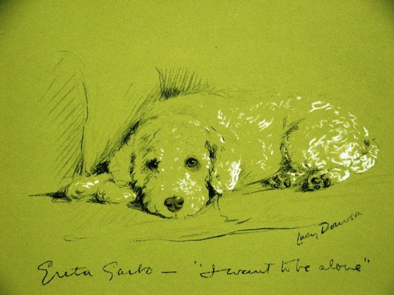 Lucy Dawson 1937 «I WANT TO BE ALONE» Dog Print Matted
