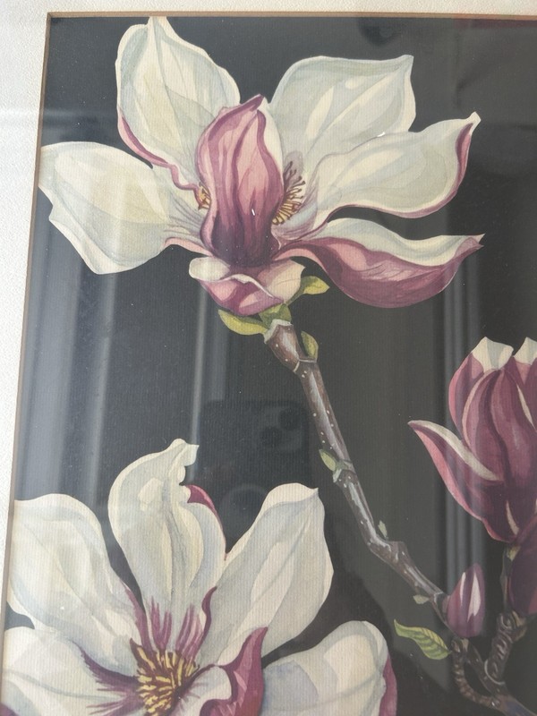 Vtg Mid Century 1950’s 60’s Magnolia Floral Lithograph Print Helene Thompson gallery