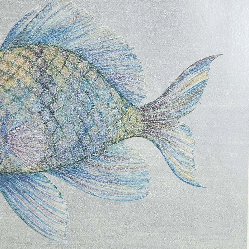 Lorraine Rossi Signed Framed Angel Fish Print Colorful Sealife Ocean Beach 10x10 gallery