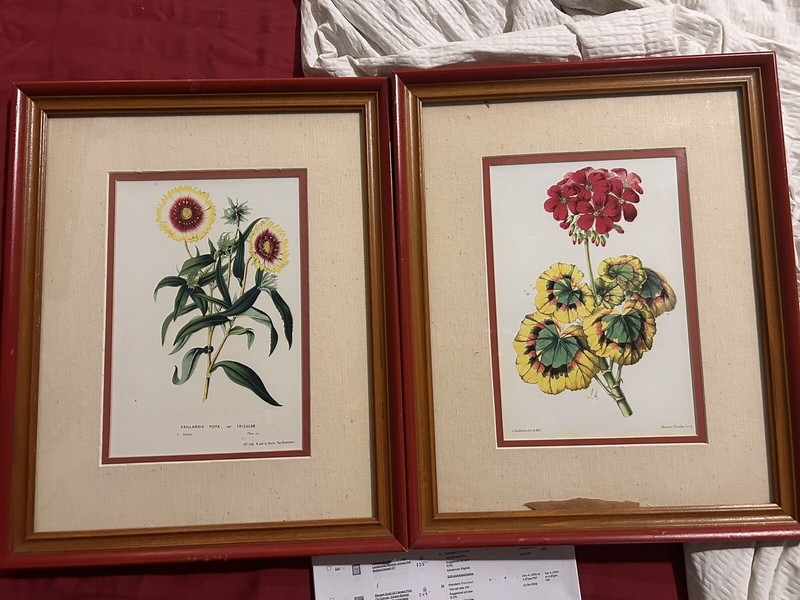 Set Of 2 Vintage Botanical Lithograph Prints Matted Framed