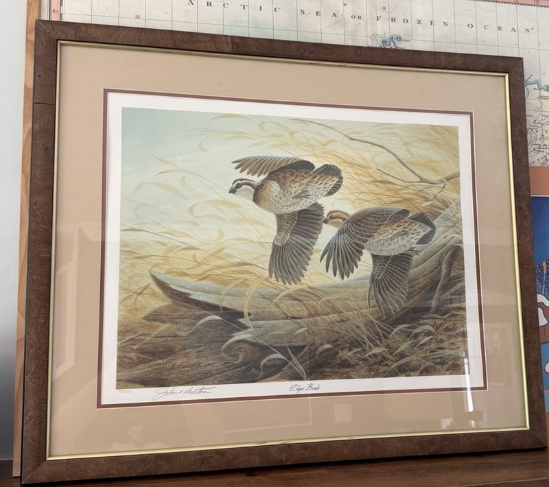 John Ruthven Edge Birds – Bobwhite Quail Framed Print Signed And Numbered