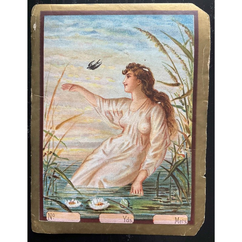 Antique Victorian Lady in Water Trade Card Ephemera Print c1890s gallery