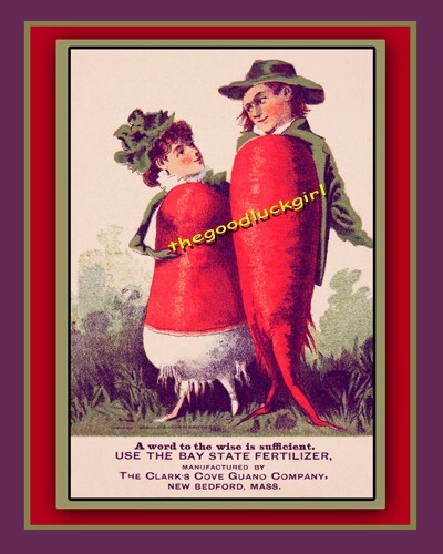 8×10 Vtg 1885 Creepy Vegetables *BEETS* CLARK’S COVE GUANO CO ad Art Print