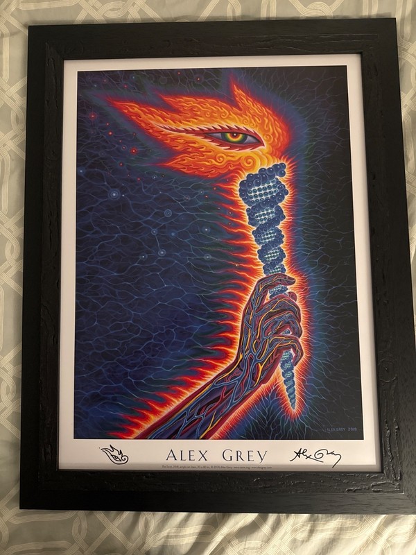 Alex Grey – Hand Signed Open Edition Print – Custom Framed