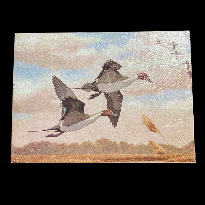 Vintage Textured Duck Print 5×7 Waterfowl Art on Cardboard Wall Decor