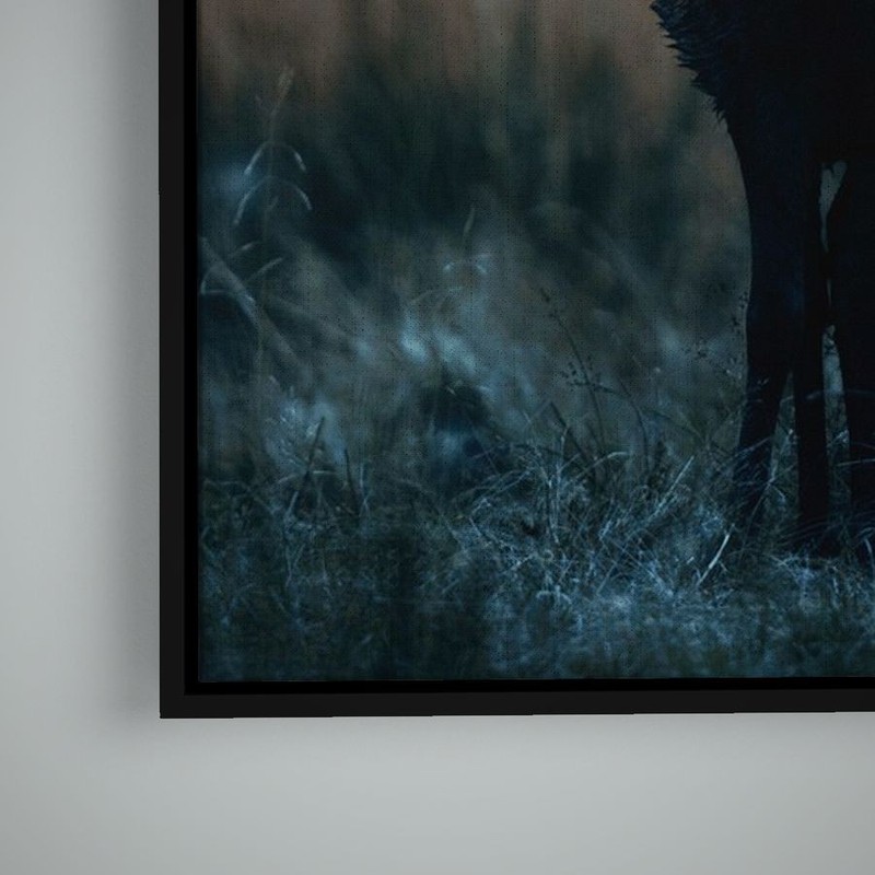 Artographie - Shine - Art Print on Paper or Canvas gallery