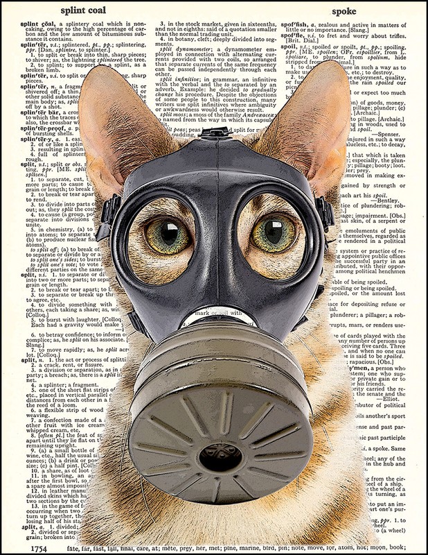 Fallout Kitty - Dictionary Art Print Printed On Authentic Vintage Dictionary gallery