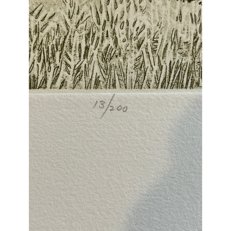 Ruth Leaf Signed Etching "Ballet for 26 Trees" 29x22 Ltd Ed 13/200 BFK Rives Art gallery