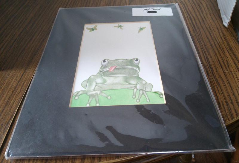 High Hopes Frog And Flies Limited Edition Note Cards