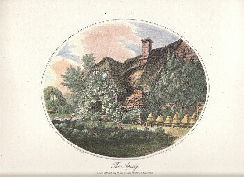 the bee house john thampson 1810 reprint schuler publisher from stuttgart old intop