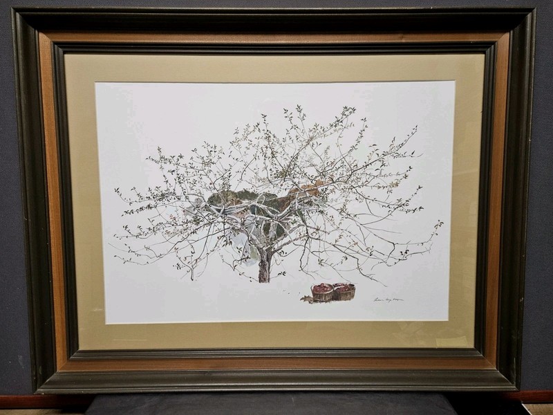 Andrew Wyeth - “After Picking" Framed 34" x 26" Lithograph Print **READ**
