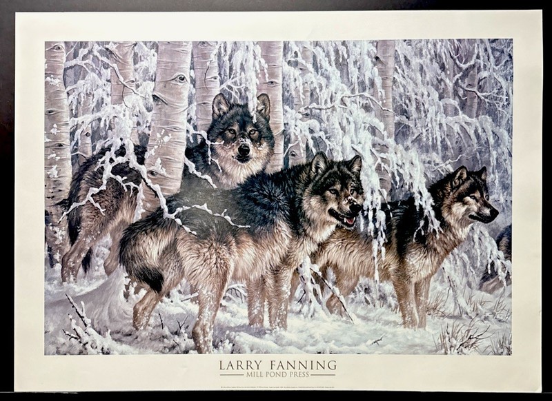 Larry Fanning Art Poster “Crystal Forest(detail)” Wolf Wolves Poster 36×26