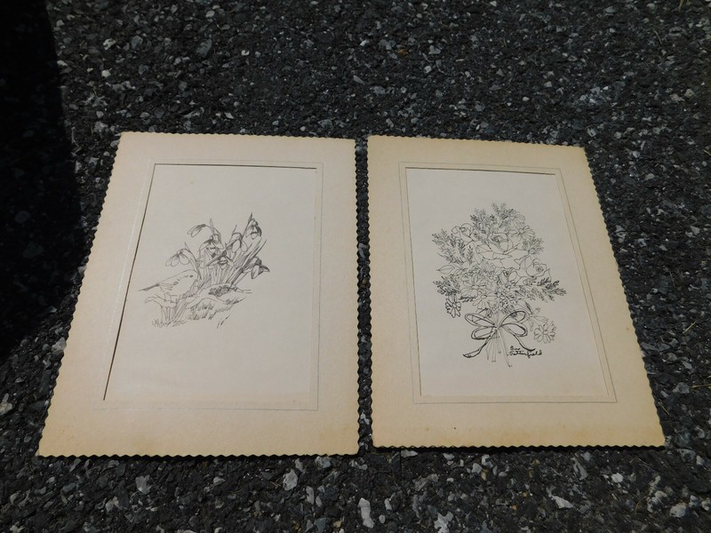 Vtg Lot Sue Satterfield Pen & Ink Drawing Signed Hand drawn Flowers Roses & Bird
