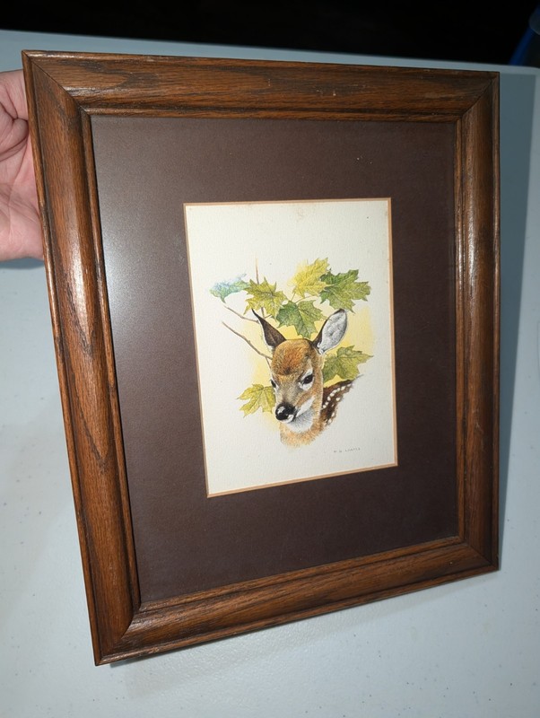 Vintage M.G. Loates «Fawn» Framed Print 1977 Canadian Wildlife Art Matted