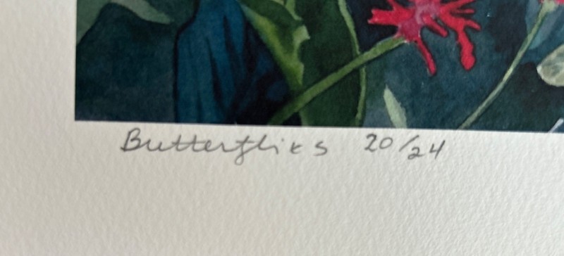 JANE E. GOLDMAN Butterflies 2017 signed and numbered 30/24 print gallery
