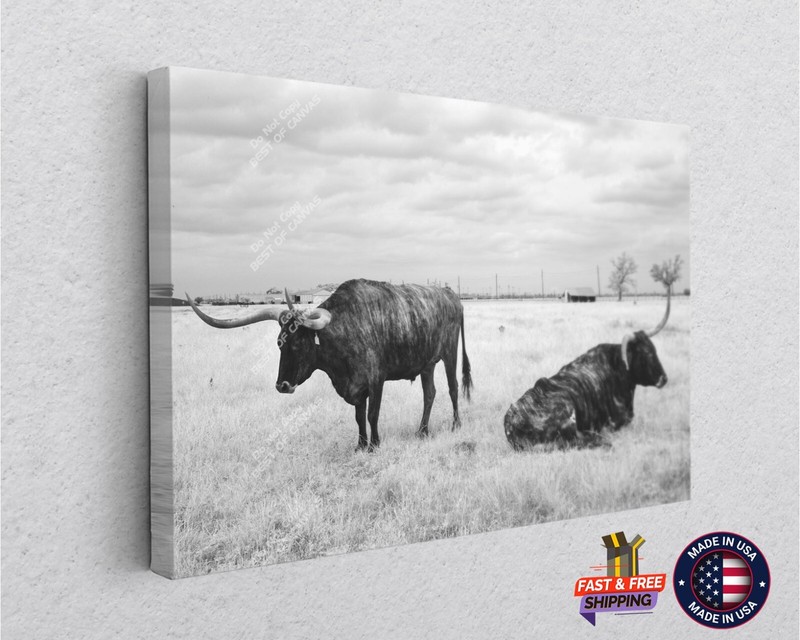 Longhorn Bull Cattle Texas Ranch Canvas Décor Art Print Wall Home Decoration