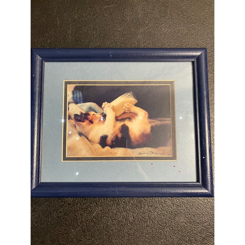 Jolene Stromberg Framed Kitten Art Calico Cat Bottle Feeding Blue Frame Signed