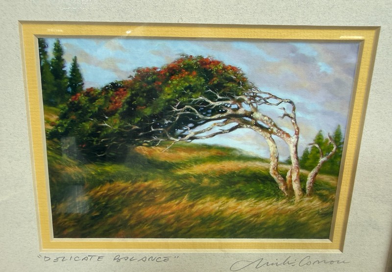 Mike Carroll "Delicate Balance" Signed Hawaii Art Print Framed Lanai Flame Tree gallery